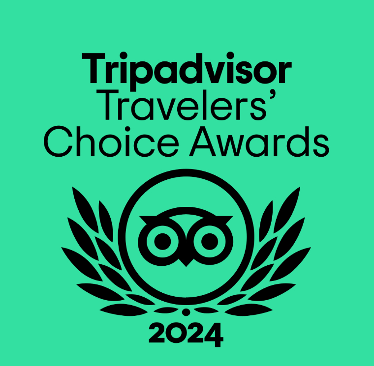 Tripadvisor meilleure activité 2024